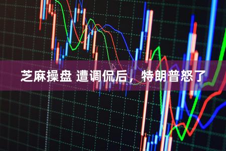 芝麻操盘 遭调侃后，特朗普怒了