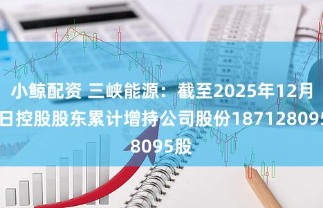 小鲸配资 三峡能源:截至2025年12月31日控股股东累计增持公司股份187128095股