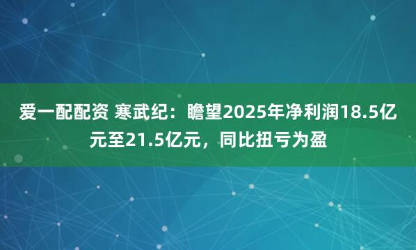 爱一配配资 寒武纪：瞻望2025年净利润18.5亿元至21.5亿元，同比扭亏为盈