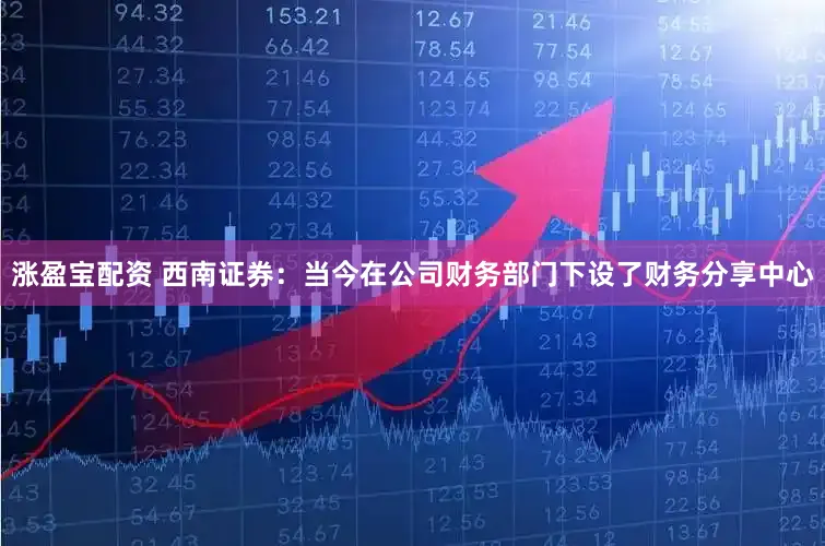 涨盈宝配资 西南证券:当今在公司财务部门下设了财务分享中心