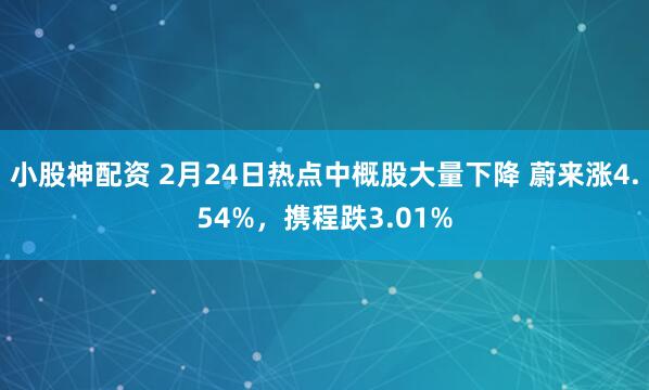 小股神配资 2月24日热点中概股大量下降 蔚来涨4.54%，携程跌3.01%