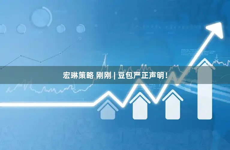 宏琳策略 刚刚 | 豆包严正声明！