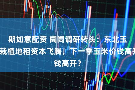 期如意配资 阛阓调研转头：东北玉米栽植地租资本飞腾，下一季玉米价钱高开？