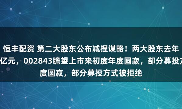 恒丰配资 第二大股东公布减捏谋略！两大股东去年套现超3.6亿元，002843瞻望上市来初度年度圆寂，部分募投方式被拒绝