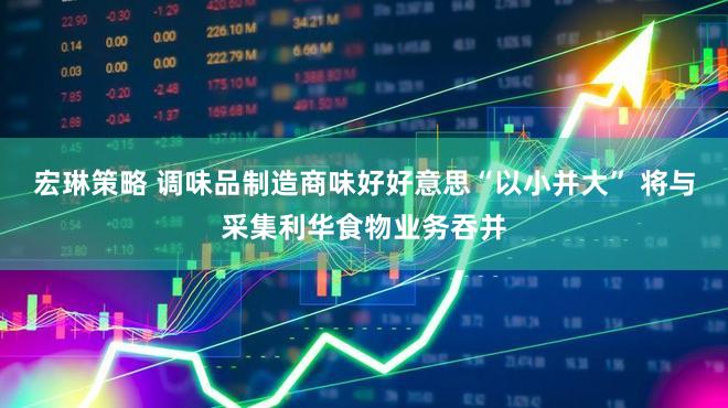 宏琳策略 调味品制造商味好好意思“以小并大” 将与采集利华食物业务吞并