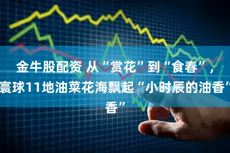 金牛股配资 从“赏花”到“食春”，寰球11地油菜花海飘起“小时辰的油香”