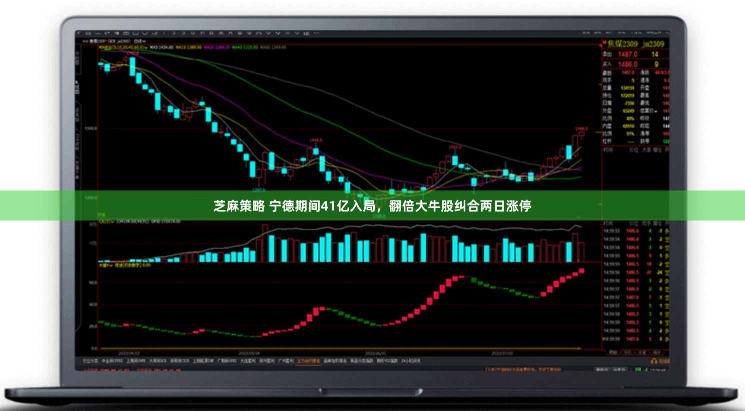 芝麻策略 宁德期间41亿入局，翻倍大牛股纠合两日涨停