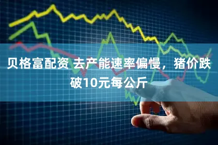 贝格富配资 去产能速率偏慢，猪价跌破10元每公斤