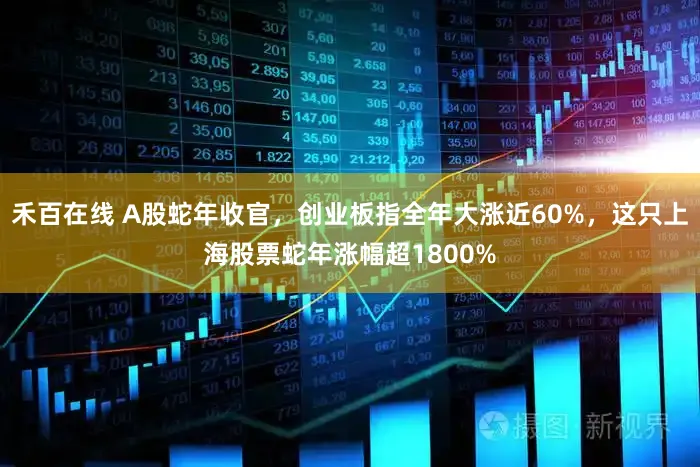禾百在线 A股蛇年收官,创业板指全年大涨近60%,这只上海股票蛇年涨幅超1800%