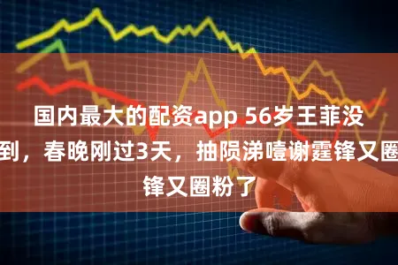 国内最大的配资app 56岁王菲没念念到，春晚刚过3天，抽陨涕噎谢霆锋又圈粉了