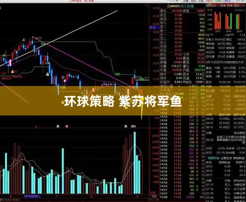环球策略 紫苏将军鱼