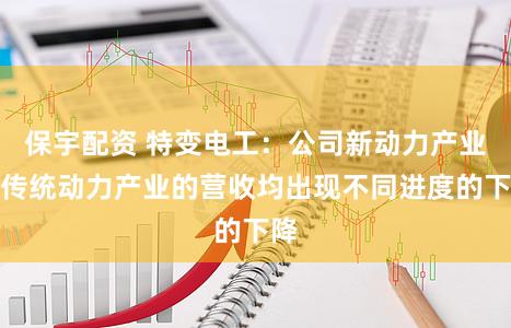 保宇配资 特变电工：公司新动力产业与传统动力产业的营收均出现不同进度的下降